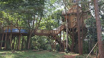 Tree House with a Pool