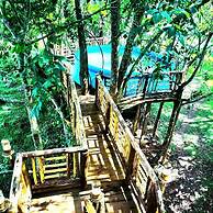 Tree House with a Pool