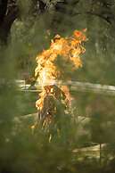 Olinto Atlas Mountain Retreat