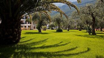 Club Hotel Olivi