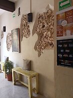 HOSTEL VALLADOLID 48