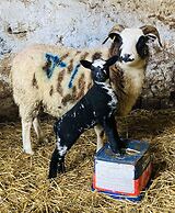 Gratton Grange Farm Holiday Cottage