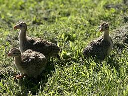 Gratton Grange Farm Holiday Cottage