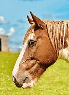 Gratton Grange Farm Holiday Cottage