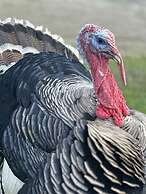 Gratton Grange Farm Holiday Cottage