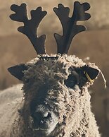 Gratton Grange Farm Holiday Cottage