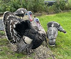 Gratton Grange Farm Holiday Cottage