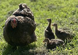 Gratton Grange Farm Holiday Cottage