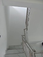 Chichi Luxurious-Zebra