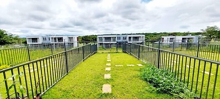 Chichi Luxurious-Zebra