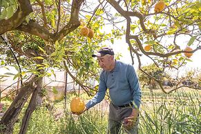 Calacala rooms, restaurant & farm experience