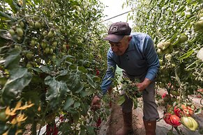 Calacala rooms, restaurant & farm experience