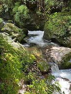 Prakriti Resort and Organic Farm