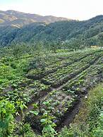 Prakriti Resort and Organic Farm