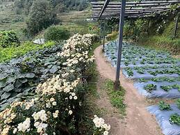 Prakriti Resort and Organic Farm