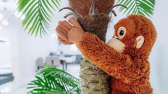 ello-el kids Pool Villa Pension