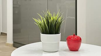 Brand New Studio with Amazing View