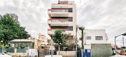 Kalisher Ophrys in Tel Aviv-yafo