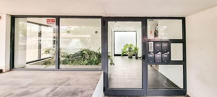 Kalisher Ophrys in Tel Aviv-yafo