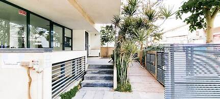 Kalisher Ophrys in Tel Aviv-yafo