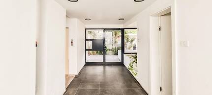 Kalisher Ophrys in Tel Aviv-yafo