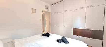 Kalisher Ophrys in Tel Aviv-yafo