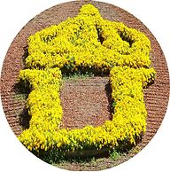 Exclusive 3- Bed Regal Apartment!