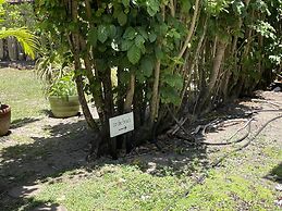 Hale Haena 3 Bedroom Home by RedAwning