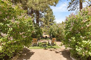 Big Bear Happy Place Walk to the Village!