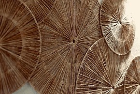 Palermo Inn Boutique Hotel