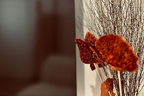 Palermo Inn Boutique Hotel