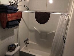 Willow Springs Marina