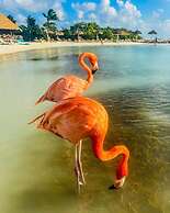 Remarkable 1-bed Apartment in Noord