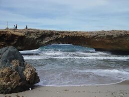 Remarkable 1-bed Apartment in Noord