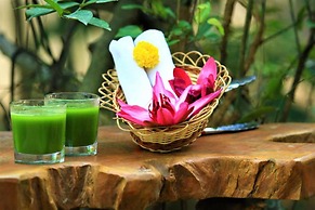 Magical Tented Lodge in Yala- Thissamaharamaya