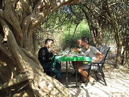 Magical Tented Lodge in Yala- Thissamaharamaya