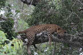 Magical Tented Lodge in Yala- Thissamaharamaya