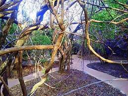 Magical Tented Lodge in Yala- Thissamaharamaya