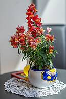 Il casale di don Matteo