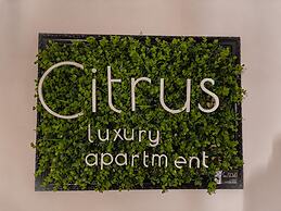 Citrus Luxury Apartment Palermo - up to 3 Bedrooms