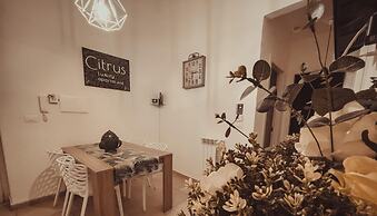 Citrus Luxury Apartment Palermo - up to 3 Bedrooms