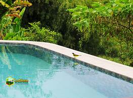 Finca la colmena de don juaco