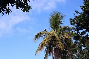Finca la colmena de don juaco