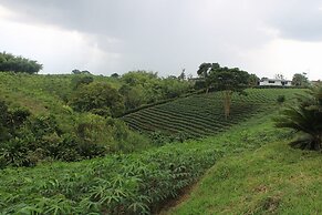Finca la colmena de don juaco