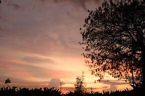 Finca la colmena de don juaco