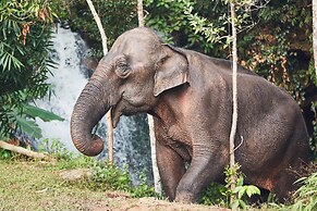 Garden bungalows 4br with private pool