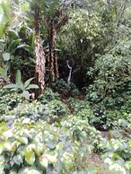 Captivating 4-bed Chalet Las Casitas en el Aire