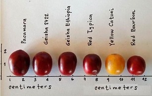 Captivating 4-bed Chalet Las Casitas en el Aire