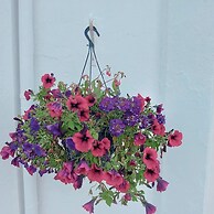 The Clifton at Paignton