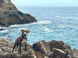 Baja Off the Grid, Luxury Nature Glamping Retreat